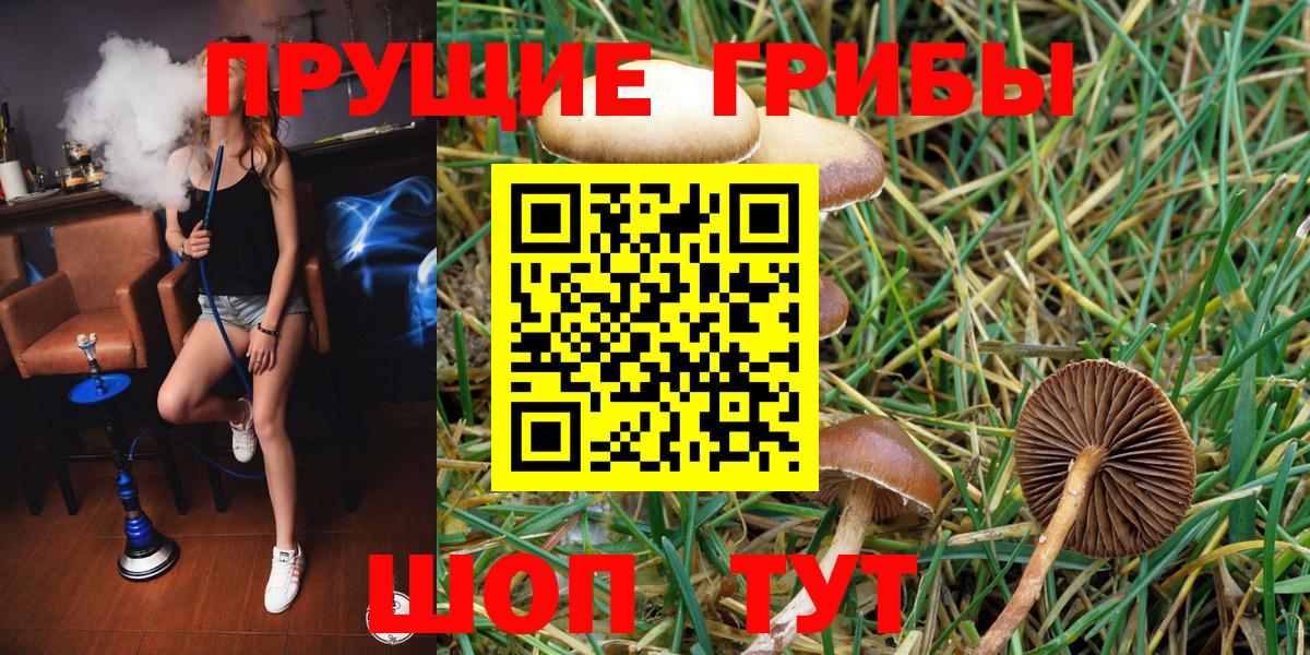 Галлюциногенные грибы Cubensis Пугачёв