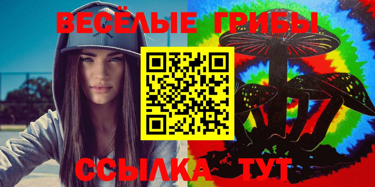дарнет шоп  Вход с VPN  Пугачёв  Галлюциногенные грибы Psilocybe 